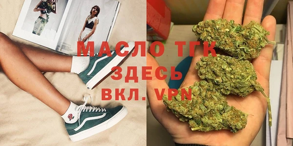 тгк Туринск