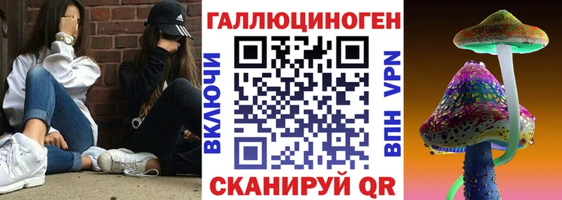 Галлюциногенные грибы GOLDEN TEACHER  купить  цена  Бирюсинск 